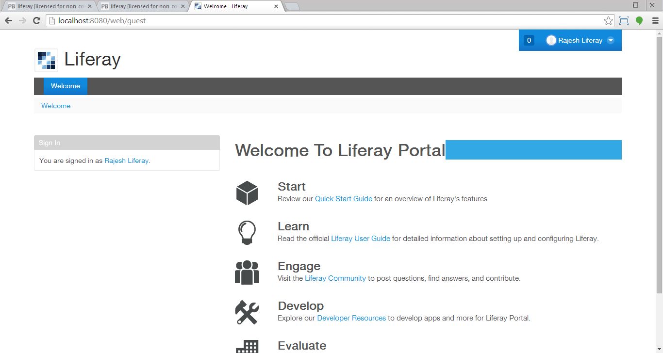 liferay_success_login