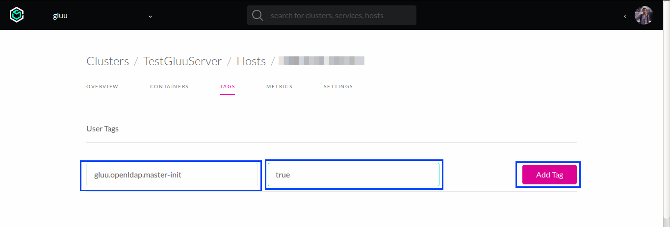host-tag-openldap-master-init