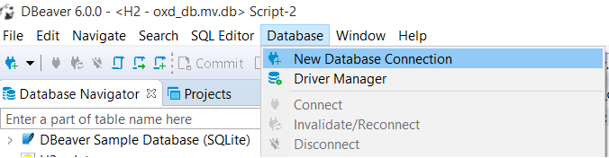 dbeaver_connection