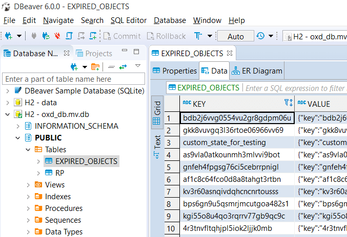 dbeaver_data
